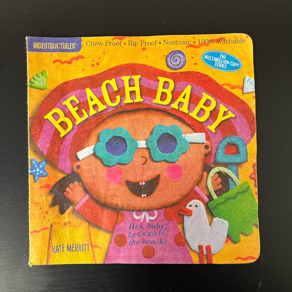 A LOT of 10 INDESTRUCTIBLES- Books...AMAZING FOR TEETHING! A Serious Must Have! - Picture 6 of 12
